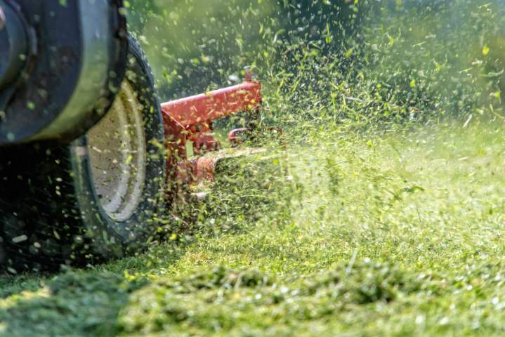 Maintenance professionnelle pour votre jardin